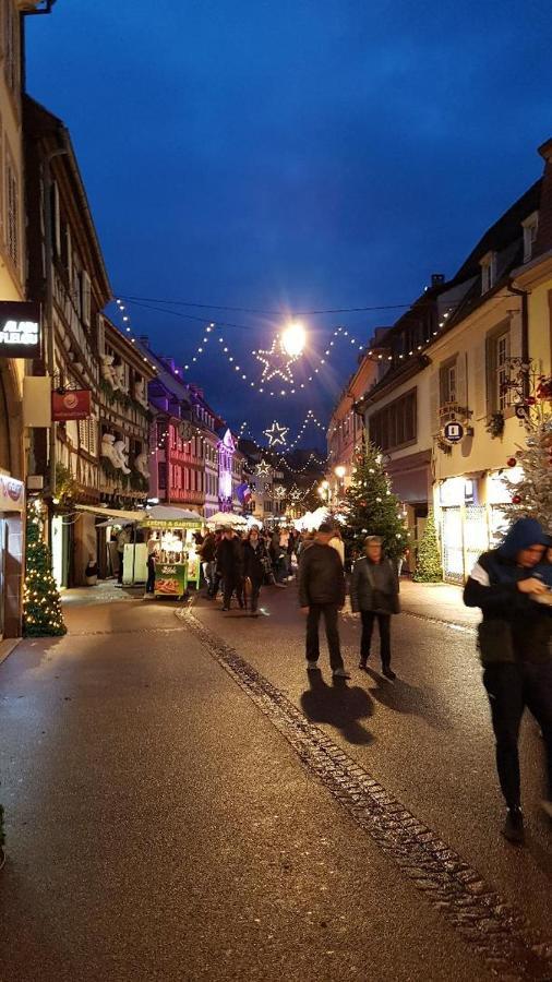 Gite Classe "Le Tilleul" Colmar Eksteriør billede